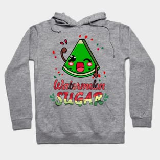 Watermelon Sugar Hoodie